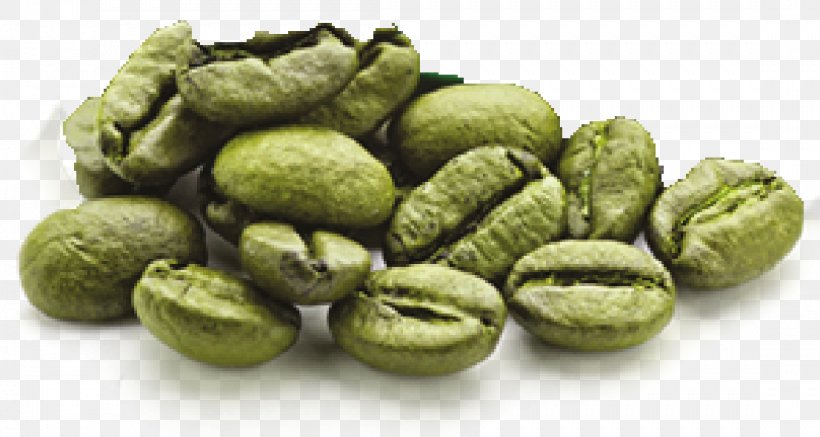 Green Coffee Extract Energy Drink Coffee Bean, PNG, 1107x591px, Coffee, Arabica Coffee, Bean, Chlorogenic Acid, Coffee Bean Download Free