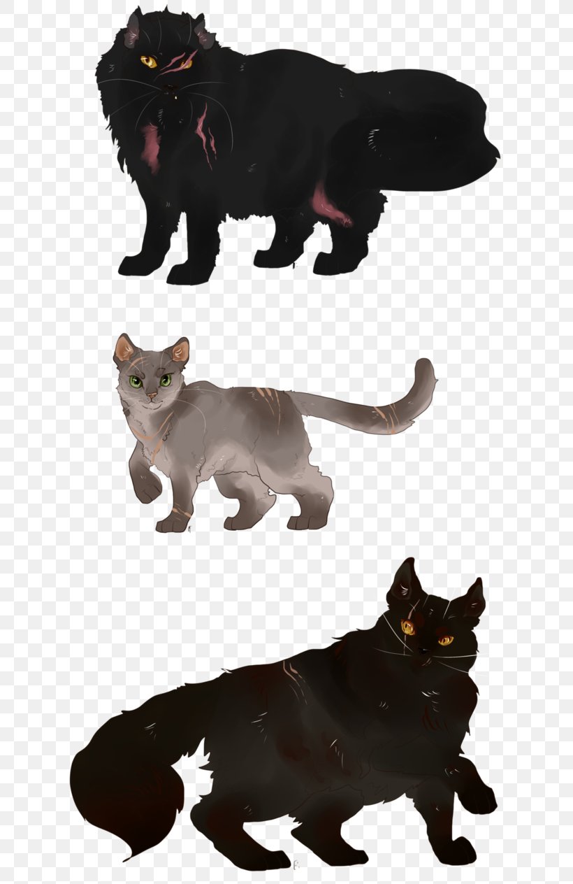 Black Cat Whiskers Dog Littlecloud, PNG, 632x1264px, Black Cat, Breed, Carnivoran, Cat, Cat Like Mammal Download Free