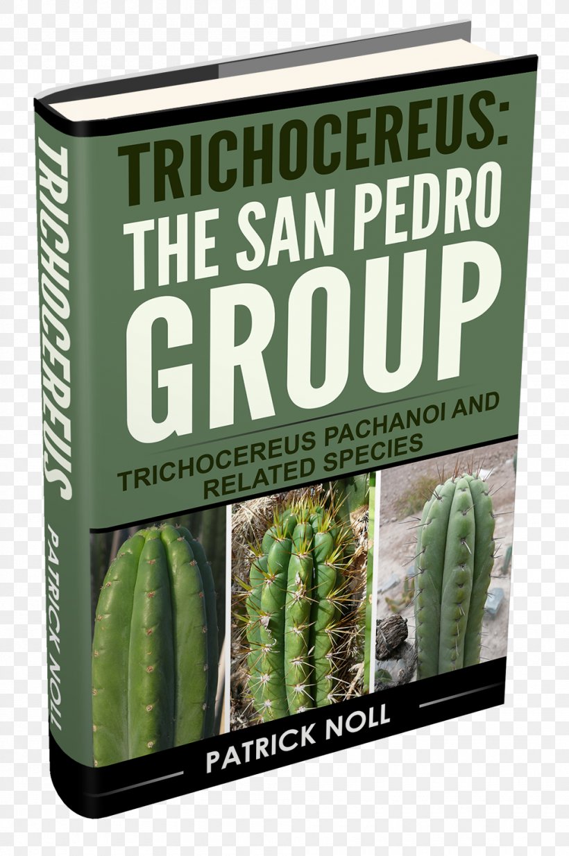 San Pedro Cactus Cactaceae Mescaline Plant Echinopsis Spachiana, PNG, 1000x1506px, San Pedro Cactus, Bolivia, Book, Botany, Cactaceae Download Free