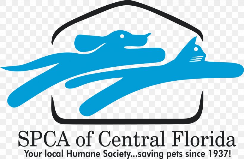 Society For The Prevention Of Cruelty To Animals Florida Cat Pet Humane Society, PNG, 2116x1378px, Florida, Animal, Animal Rescue Group, Animal Shelter, Area Download Free