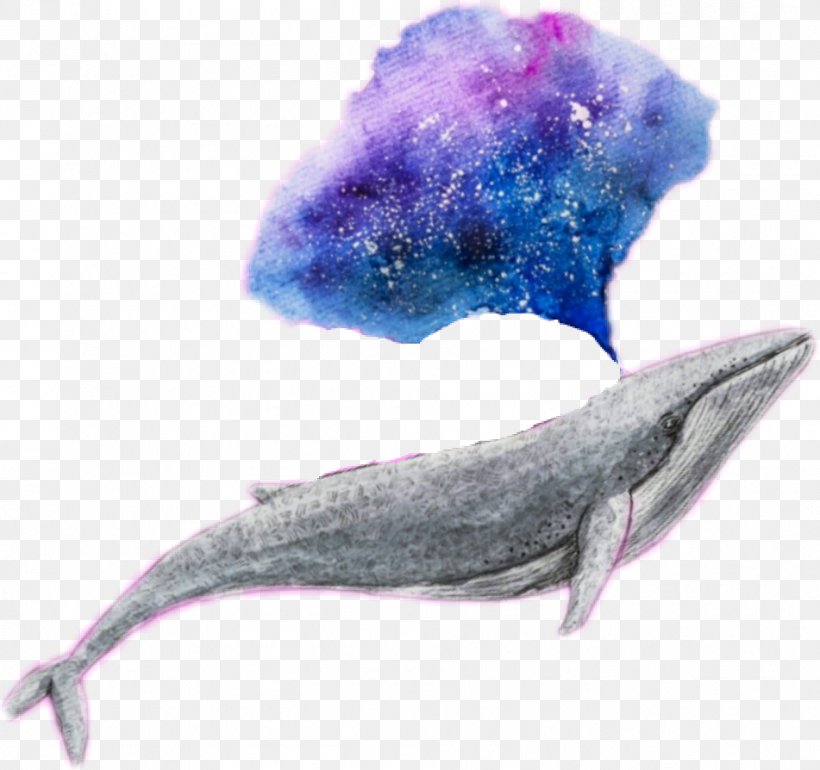 Whale Dolphin Marine Mammal Galaxy Cetacea, PNG, 951x894px, Whale, Astrophotography, Cetacea, Dolphin, Drawing Download Free