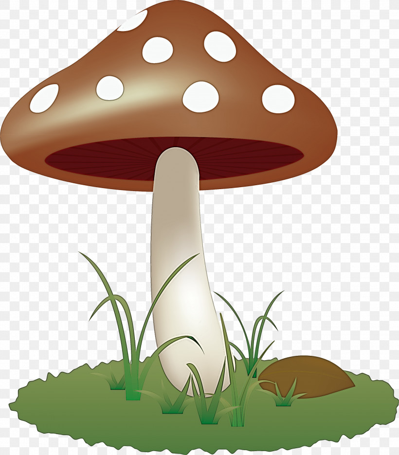 Mushroom, PNG, 2627x3000px, Mushroom, Agaric, Agaricaceae, Agaricomycetes, Agaricus Download Free