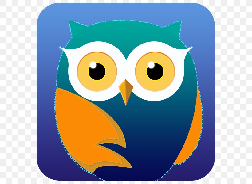 Owl Clip Art Illustration Cartoon Beak, PNG, 600x600px, Owl, Artwork, Beak, Bird, Bird Of Prey Download Free