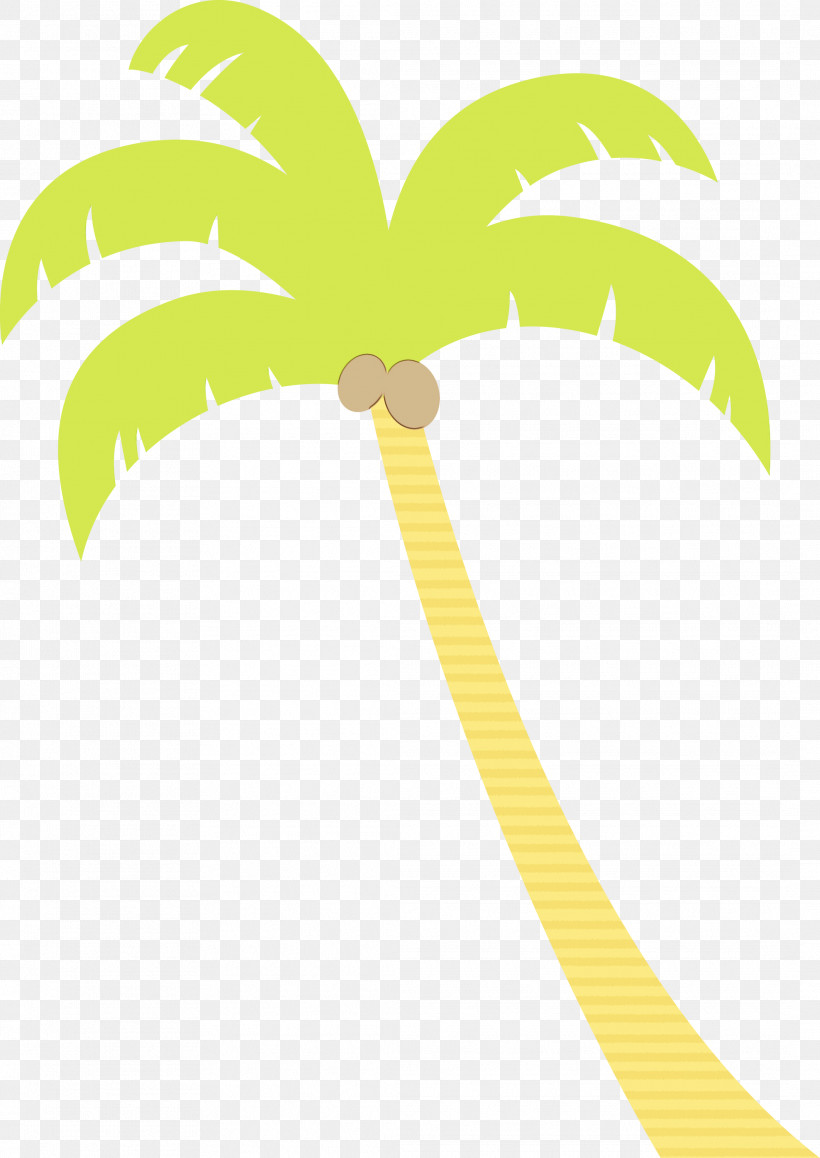 Palm Trees, PNG, 2124x3000px, Palm Tree, Beach, Biology, Cartoon Tree, Leaf Download Free