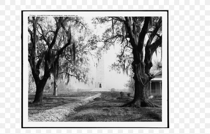 Battle Of New Orleans Chalmette Art Canvas Print, PNG, 926x590px, New Orleans, Art, Artwork, Battle Of New Orleans, Black And White Download Free