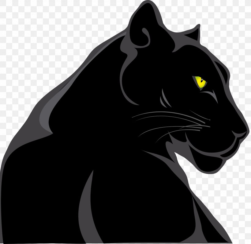 Black Panther Leopard Felidae Jaguar Animal, PNG, 1600x1553px, Black Panther, Animal, Big Cats, Black, Black And White Download Free