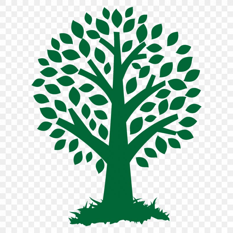 Leaf Green Tree Plant Line, PNG, 1200x1200px, Broadleaf Tree, Cartoon Tree, Green, Leaf, Plant Download Free