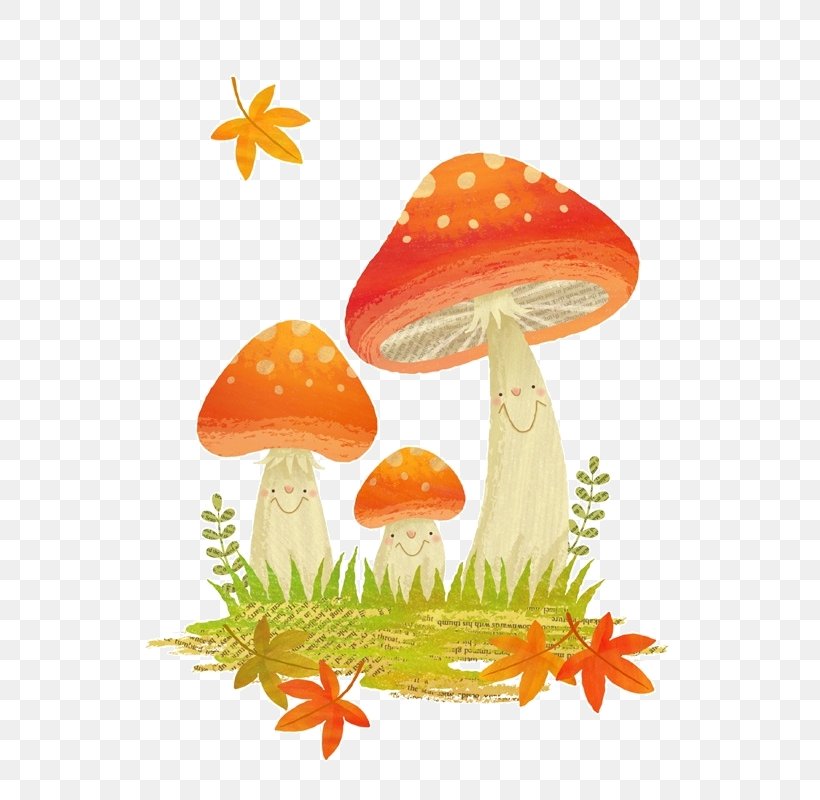 Mushroom Watercolor Painting Transparent Watercolor Animal Illustrations Clip Art, PNG, 565x800px, Mushroom, Animal Illustrations, Autumn, Color, Drawing Download Free