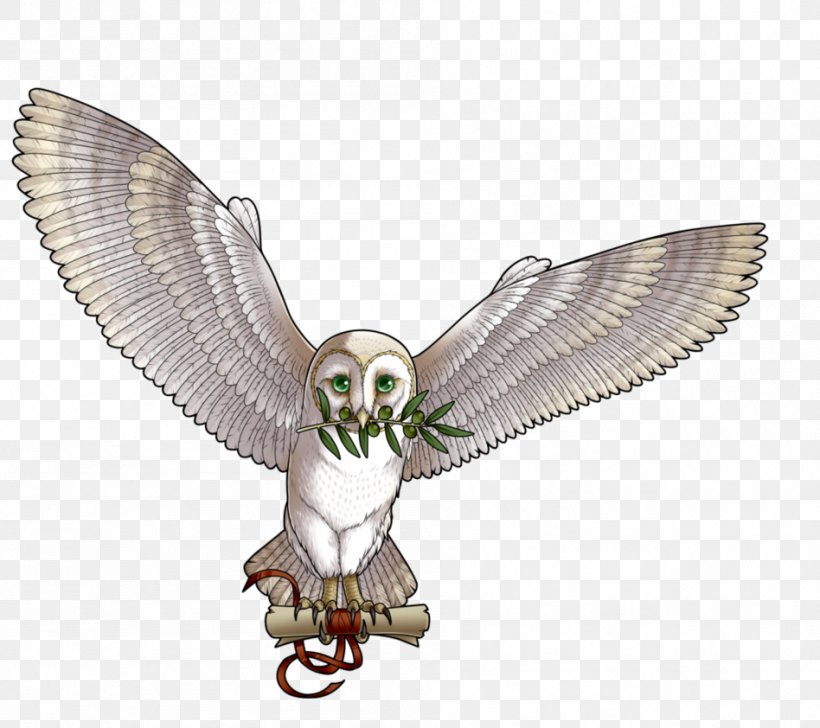 Owl Fauna Beak Falcon, PNG, 948x842px, Owl, Beak, Bird, Bird Of Prey, Falcon Download Free