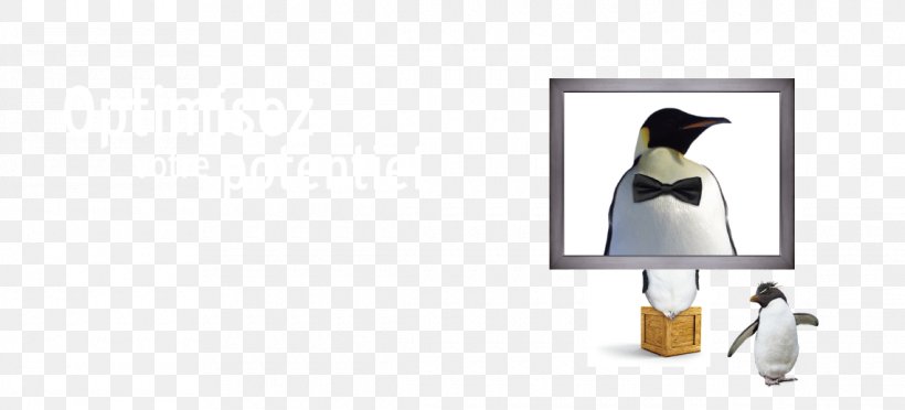 Penguin Beak, PNG, 1140x518px, Penguin, Beak, Bird, Flightless Bird, Lamp Download Free