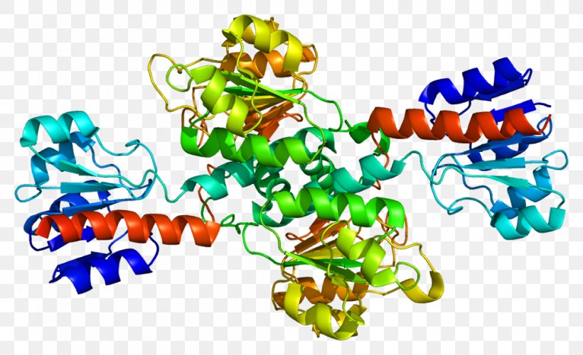 Phosphoglycerate Dehydrogenase 3-Phosphoglyceric Acid Enzyme Catalysis, PNG, 1003x612px, 3phosphoglyceric Acid, Dehydrogenase, Art, Bead, Body Jewelry Download Free