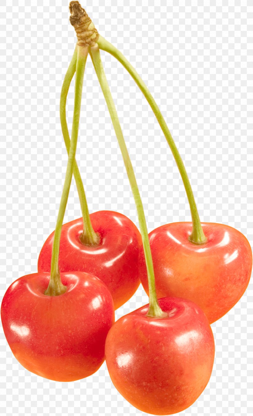 Sweet Cherry Cerasus Berry, PNG, 2385x3924px, Sweet Cherry, Almond, Berry, Cherry, Diet Food Download Free