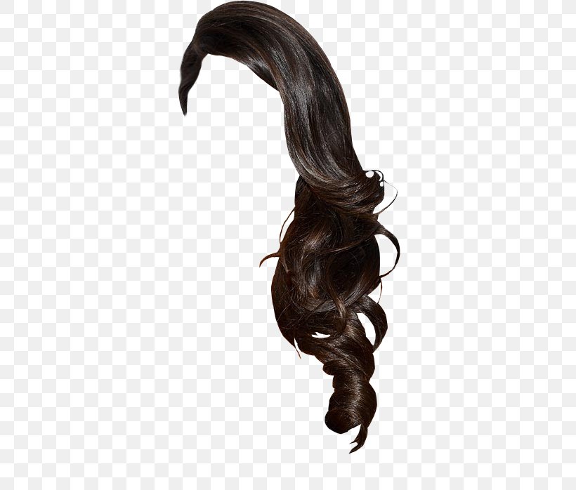 Wig Long Hair PhotoScape, PNG, 382x698px, Wig, Beard, Brown Hair, Female, Hair Download Free