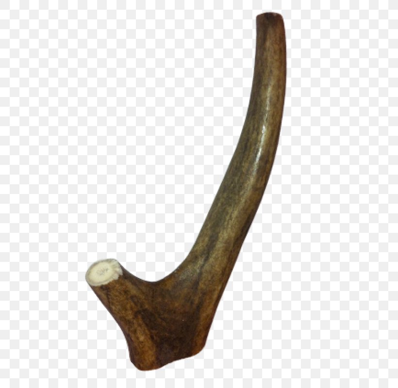 Antler Iron, PNG, 800x800px, Antler, Artifact, Horn, Iron Download Free