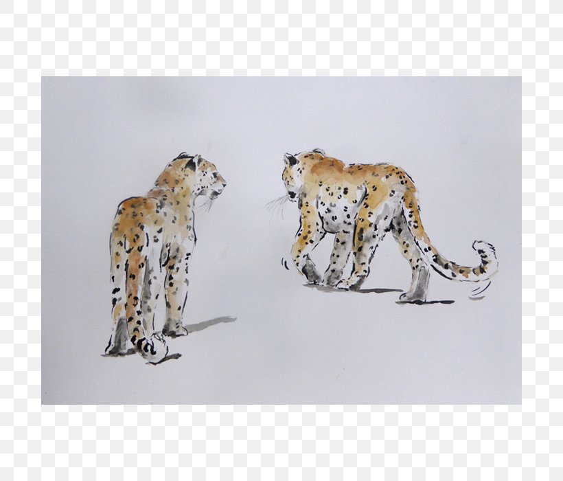 Cheetah Leopard Big Cat Terrestrial Animal, PNG, 700x700px, Cheetah, Animal, Big Cat, Big Cats, Carnivoran Download Free