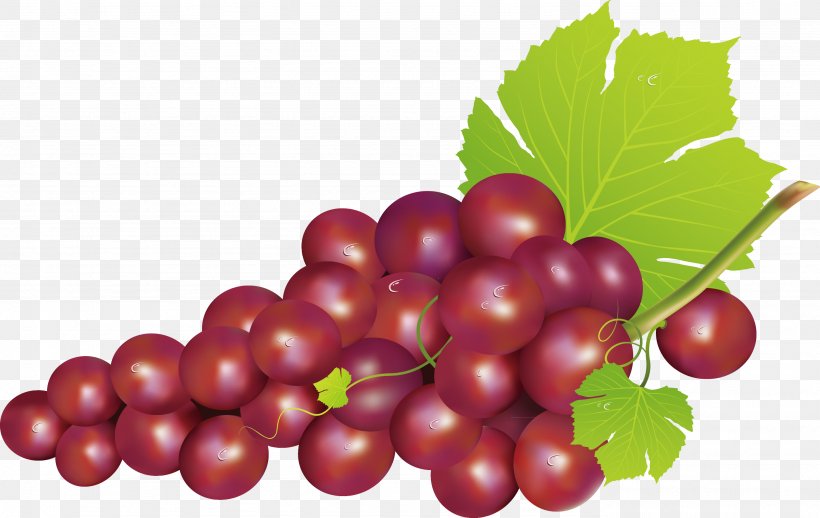 Grape Seedless Fruit Food, PNG, 2769x1750px, Grape, Berry, Cherry, Cranberry, Currant Download Free