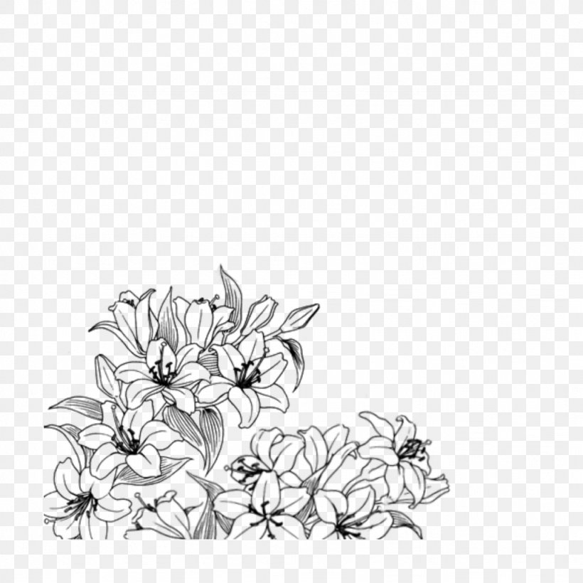 Line Art Flower Plant Drawing Coloring Book, PNG, 1024x1024px, Line Art, Blackandwhite, Coloring Book, Drawing, Flower Download Free