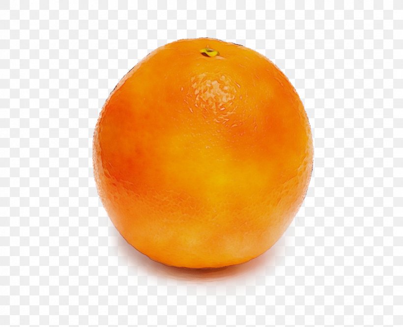 Orange, PNG, 1073x870px, Watercolor, Citrus, Food, Fruit, Grapefruit Download Free