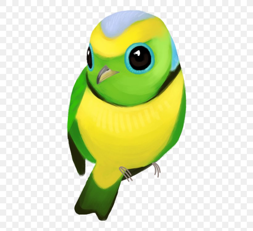 Parakeet Beak Pet, PNG, 500x750px, Parakeet, Beak, Bird, Common Pet Parakeet, Green Download Free