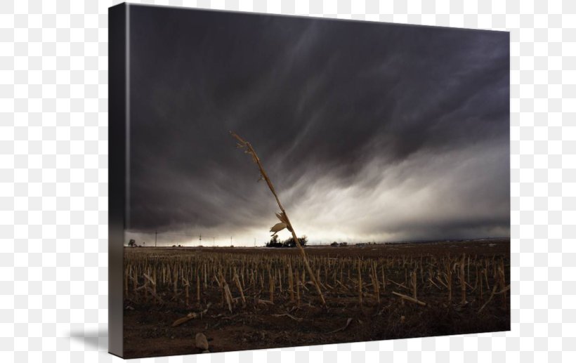 Picture Frames Gallery Wrap Canvas Energy Photography, PNG, 650x517px, Picture Frames, Anthony Rizzo, Art, Canvas, Color Download Free