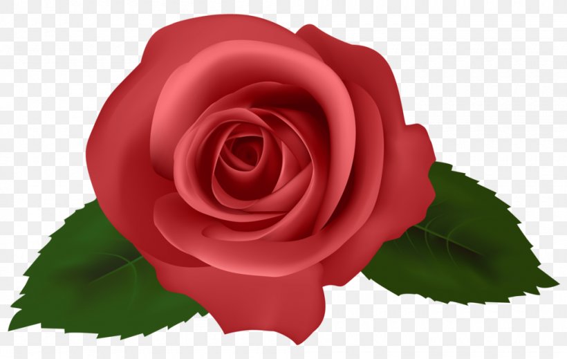 Rose Drawing Clip Art, PNG, 1000x633px, Rose, China Rose, Cut Flowers, Drawing, Floribunda Download Free