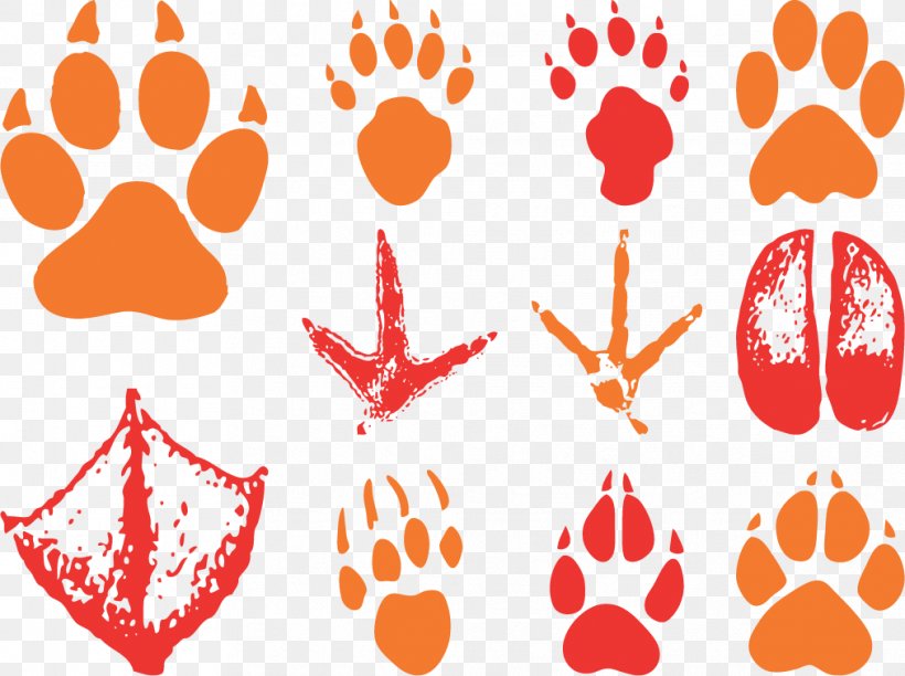 Animal Track Footprint Bear Clip Art, PNG, 1013x757px, Animal Track, Animal, Bear, Bird, Cat Download Free