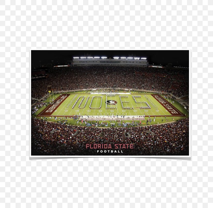 Florida State University Florida State Seminoles Canvas American Football, PNG, 800x800px, Florida State University, American Football, Art, Canvas, Canvas Print Download Free