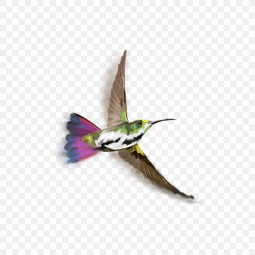Hummingbird PicsArt Photo Studio Image Editing, PNG, 1600x1600px, Hummingbird, Beak, Bird, Editing, Fauna Download Free