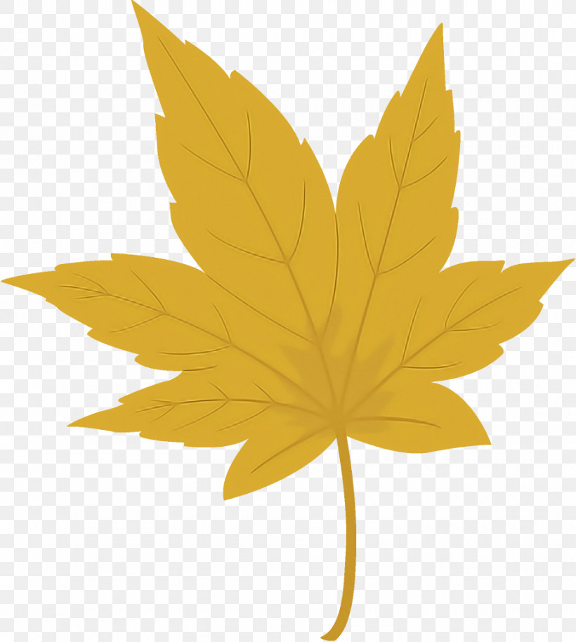 Maple Leaf Autumn Leaf Yellow Leaf, PNG, 920x1026px, Maple Leaf, Autumn Leaf, Black Maple, Deciduous, Flower Download Free