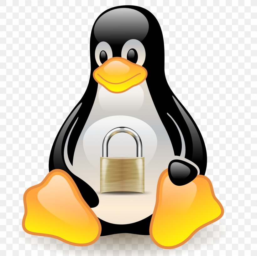Tux Racer Linux Distribution Penguin, PNG, 1600x1600px, Tux Racer, Android, Beak, Bird, Computer Download Free