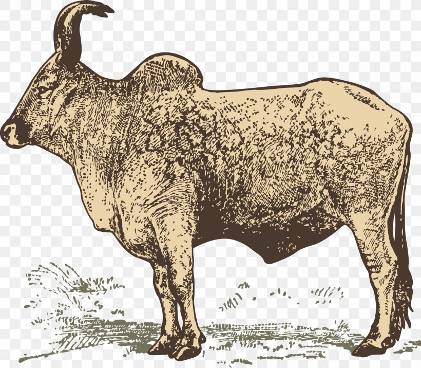 Water Buffalo Zebu Wildlife, PNG, 1760x1537px, Water Buffalo, Animal, Bull, Cattle Like Mammal, Cow Goat Family Download Free