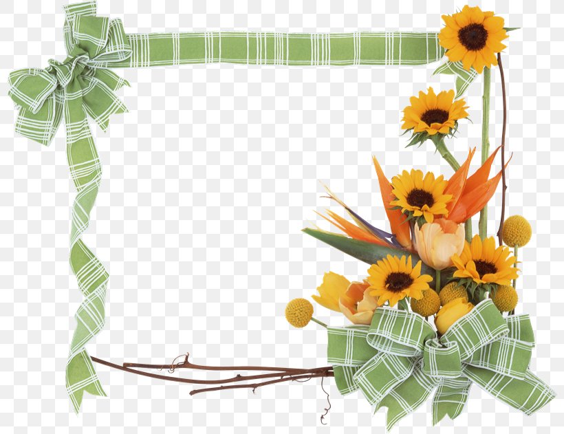 Common Sunflower Picture Frames Paper, PNG, 800x631px, Flower, Color, Common Sunflower, Cut Flowers, Flora Download Free