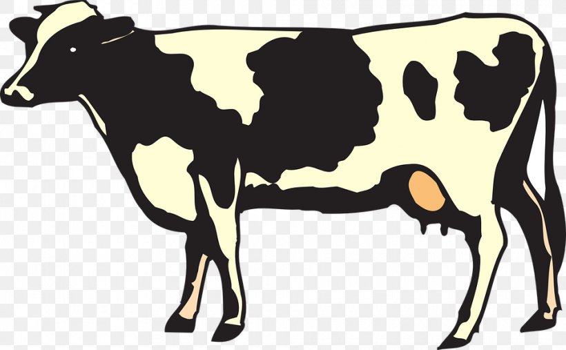 Cow Background, PNG, 960x594px, Dairy, Agriculture, Animal Figure, Bovine, Bull Download Free