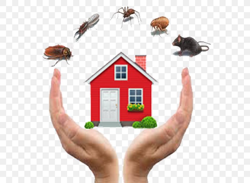 Nima Pest Control Cockroach Termite, PNG, 600x600px, Pest Control, Business, Cockroach, Finger, Hand Download Free