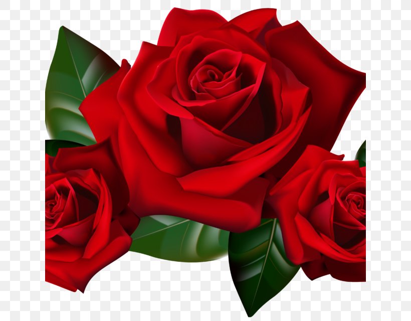 Rose Desktop Wallpaper Clip Art, PNG, 640x640px, Rose, Cut Flowers, Floral Design, Floribunda, Floristry Download Free