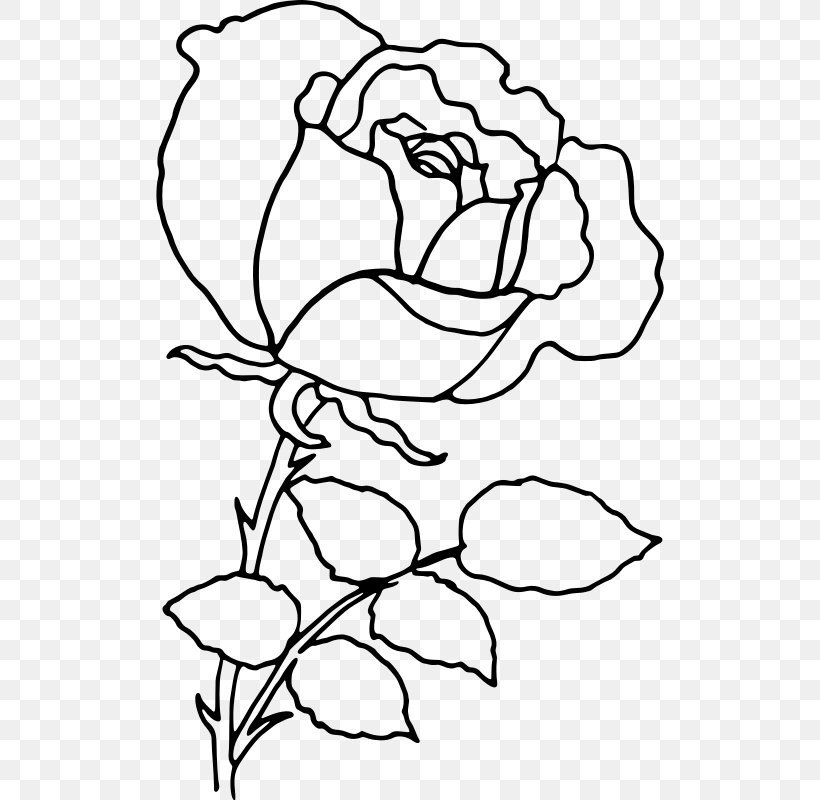 Rose Drawing Clip Art, PNG, 508x800px, Rose, Area, Art, Artwork, Black Download Free