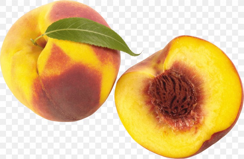 Peach Cobbler Clip Art, PNG, 3325x2173px, Nectarine, Apricot, Digital Image, Food, Fruit Download Free
