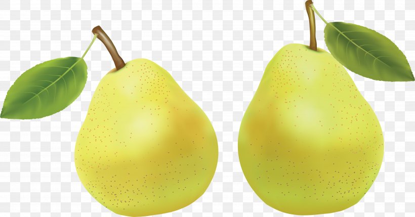 Pear Fruit Amygdaloideae Clip Art, PNG, 3534x1849px, Pyrus Nivalis, Auglis, Clipping Path, Food, Fruit Download Free