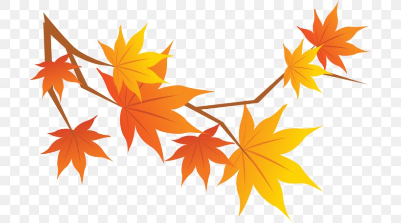 Autumn Stock Photography Image Clip Art, PNG, 699x457px, Autumn, Alamy, Color, Flowering Plant, Leaf Download Free