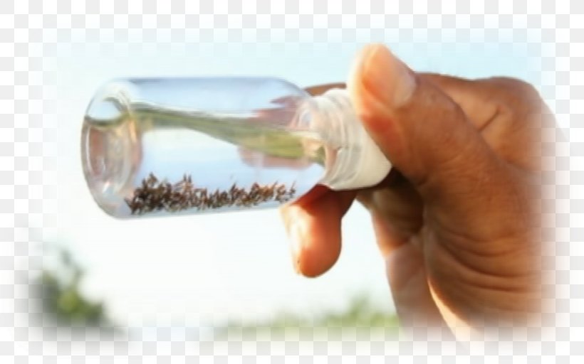 Bottle Water Finger Drink, PNG, 1230x769px, Bottle, Drink, Drinkware, Finger, Hand Download Free