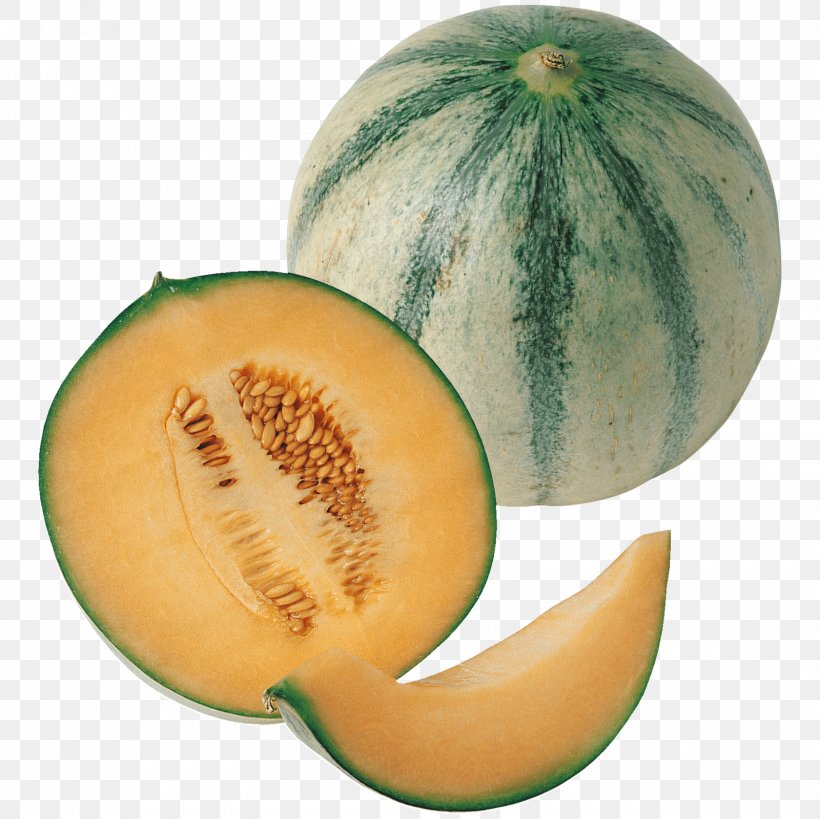 Honeydew Cantaloupe Galia Melon Charentais Melon, PNG, 1600x1600px, Honeydew, Asparagus, Cantaloupe, Charentais Melon, Cucumber Gourd And Melon Family Download Free