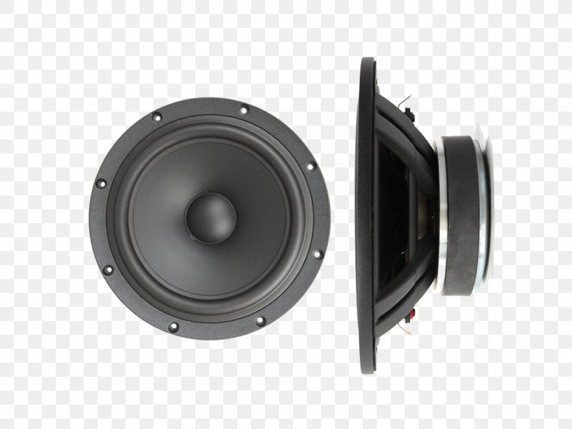 Subwoofer Loudspeaker Acoustics Voice Coil, PNG, 1000x750px, Subwoofer, Acoustics, Attenuation, Audio, Audio Equipment Download Free