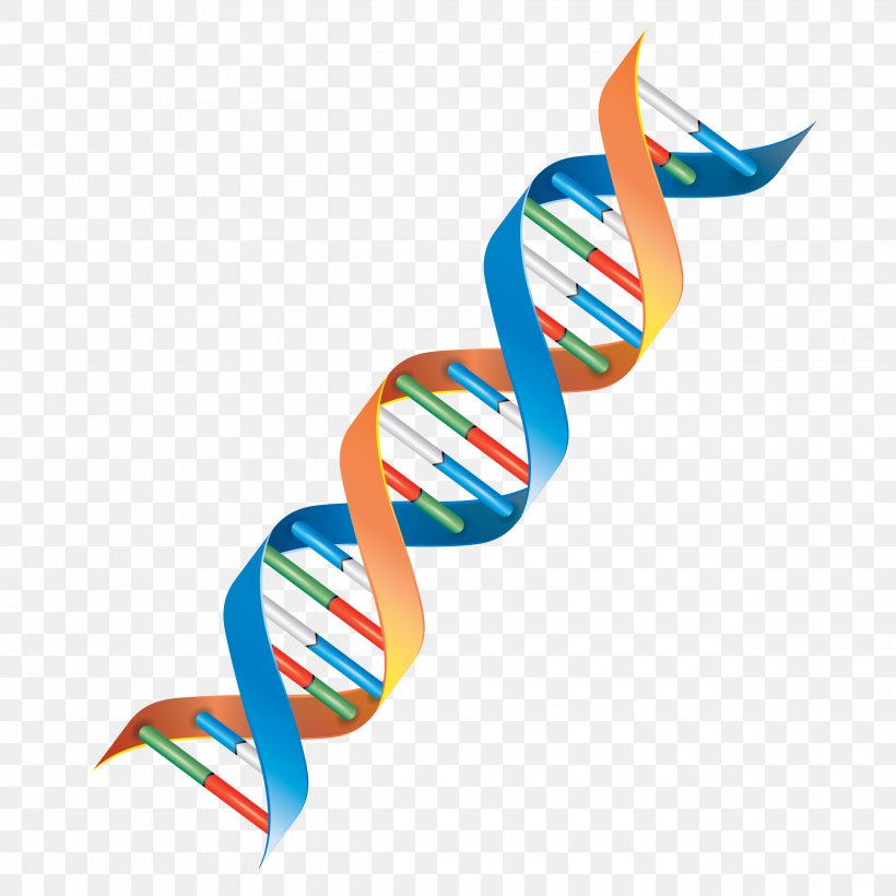 DNA Genetics Cell Clip Art, PNG, 2480x2480px, Dna, Air Pollution, Body Jewelry, Cell, Chemical Substance Download Free