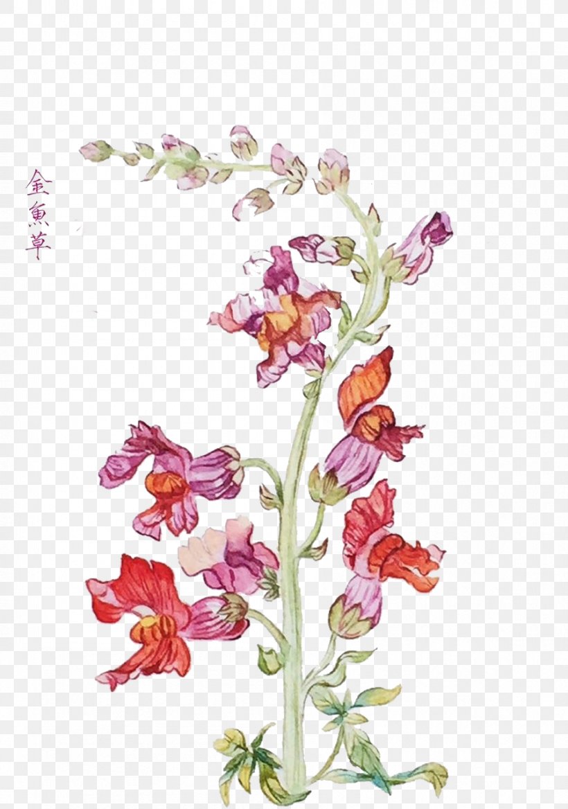 Floral Design Download, PNG, 898x1280px, Floral Design, Antirrhinum Majus, Artificial Flower, Computer Network, Cut Flowers Download Free