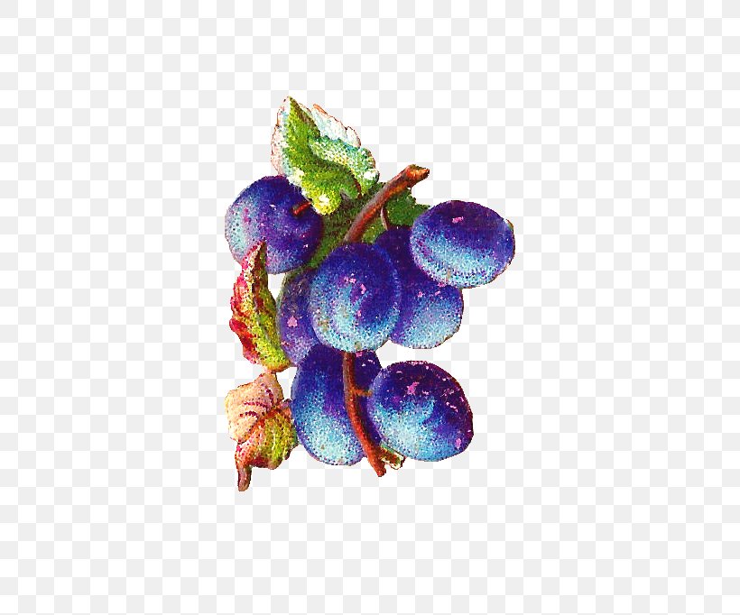 Grape Bilberry Violet, PNG, 634x682px, Grape, Bilberry, Food, Fruit, Grapevine Family Download Free