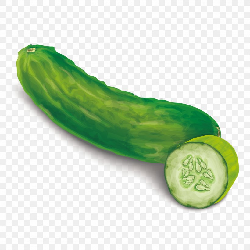 Pickled Cucumber Food Euclidean Vector, PNG, 1500x1500px, Cucumber, Cucumber Gourd And Melon Family, Cucumis, Drawing, Food Download Free