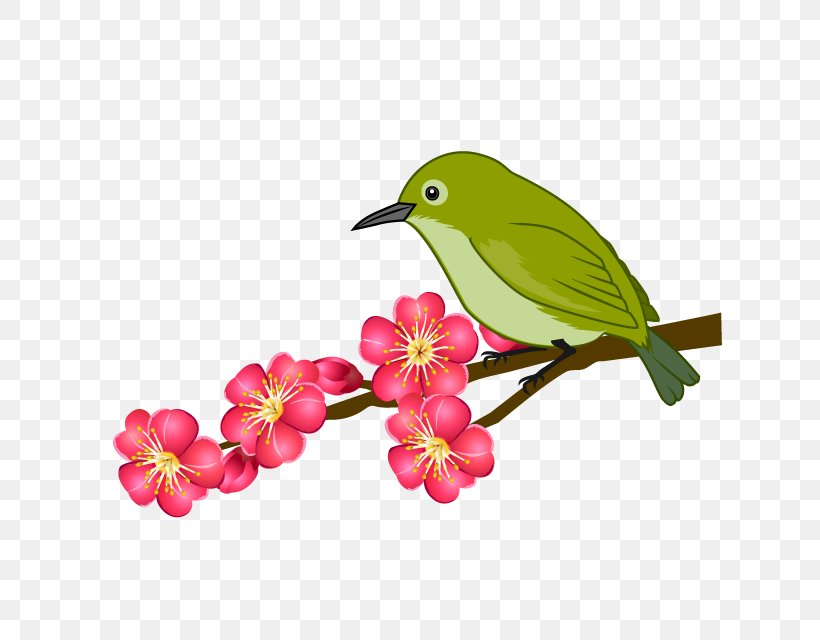 Plum Blossom 寒中見舞い New Year Card Illustration UMENOHANA CO., LTD., PNG, 640x640px, Plum Blossom, Beak, Bird, Branch, Feather Download Free