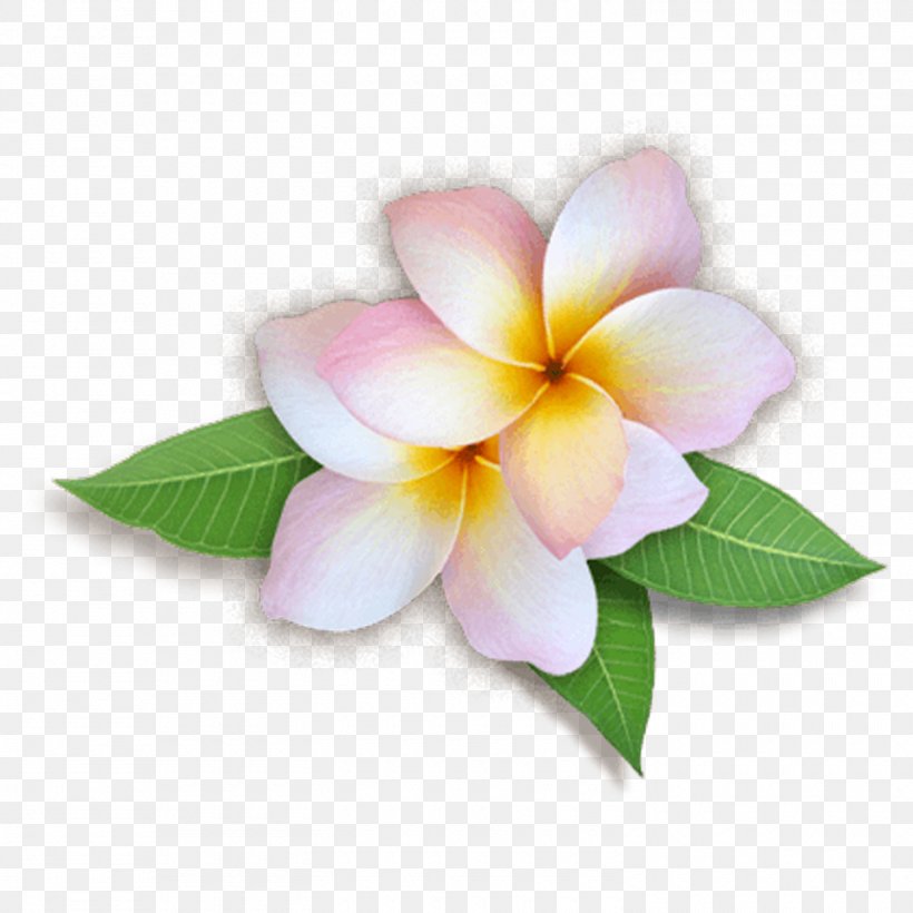 Clip Art Desktop Wallpaper Flower Image, PNG, 1500x1500px, Flower, Artificial Flower, Blog, Flower Bouquet, Flowering Plant Download Free