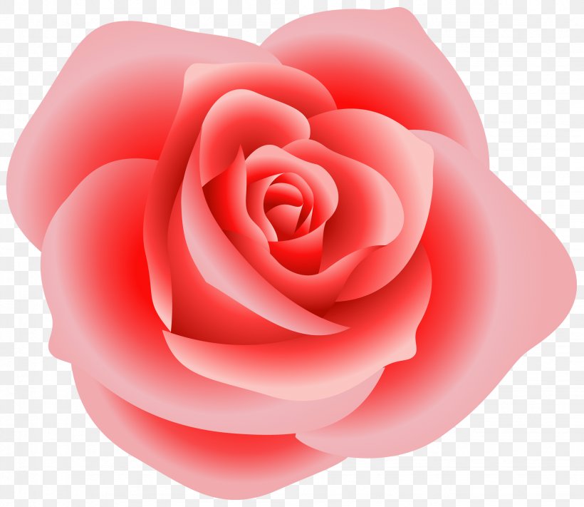 Rose Clip Art, PNG, 2047x1776px, Rose, Blog, Close Up, Flower, Flowering Plant Download Free