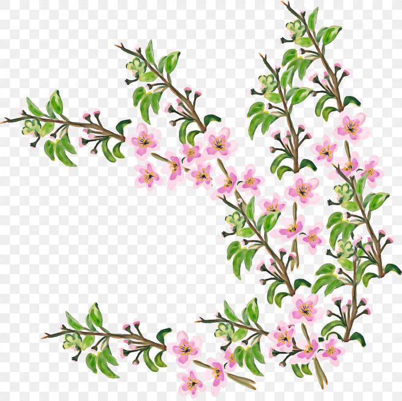 Cherry Blossom Flower, PNG, 2419x2417px, Cherry Blossom, Blossom, Branch, Cerasus, Cherries Download Free